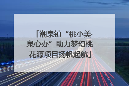 潮泉镇“桃小美·泉心办”助力梦幻桃花源项目扬帆起航