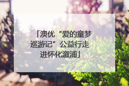 澳优“爱的童梦巡游记”公益行走进怀化溆浦