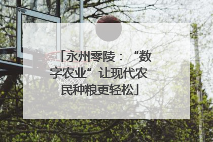永州零陵：“数字农业”让现代农民种粮更轻松