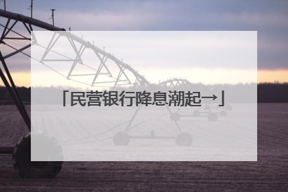 民营银行降息潮起→