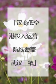 汉商低空港投入运营 航线覆盖武汉三镇
