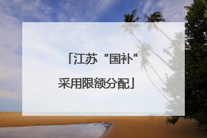 江苏“国补”采用限额分配
