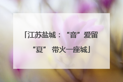 江苏盐城：“音”爱留“夏” 带火一座城