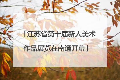 江苏省第十届新人美术作品展览在南通开幕