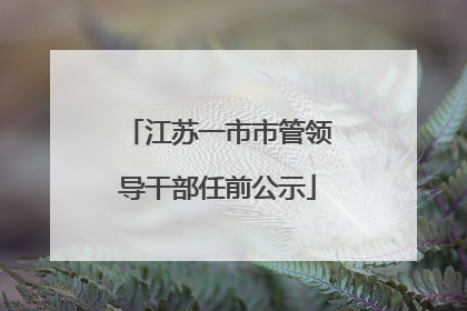 江苏一市市管领导干部任前公示