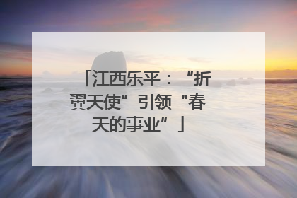 江西乐平：“折翼天使”引领“春天的事业”