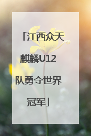 江西众天麒麟U12队勇夺世界冠军