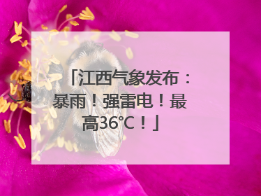江西气象发布：暴雨！强雷电！最高36℃！