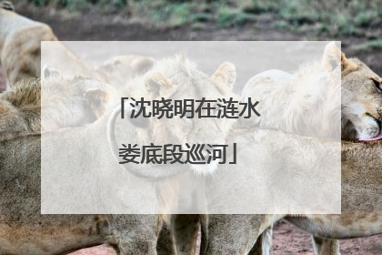 沈晓明在涟水娄底段巡河