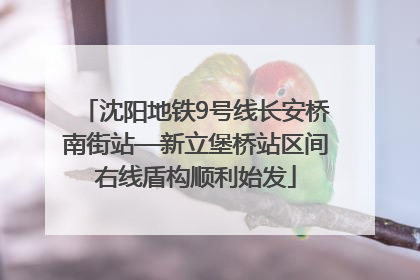 沈阳地铁9号线长安桥南街站—新立堡桥站区间右线盾构顺利始发