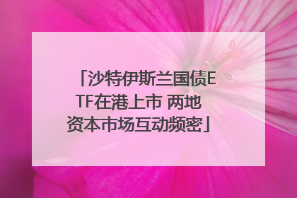 沙特伊斯兰国债ETF在港上市 两地资本市场互动频密
