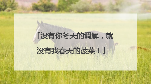没有你冬天的调解，就没有我春天的菠菜！