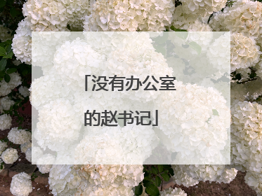 没有办公室的赵书记