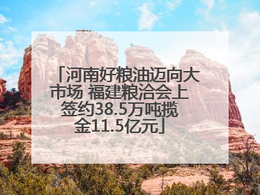 河南好粮油迈向大市场 福建粮洽会上签约38.5万吨揽金11.5亿元