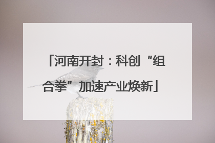 河南开封：科创“组合拳”加速产业焕新