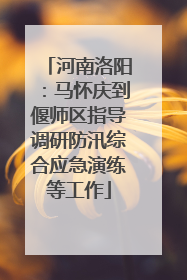河南洛阳：马怀庆到偃师区指导调研防汛综合应急演练等工作