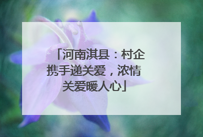河南淇县：村企携手递关爱，浓情关爱暖人心