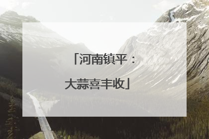 河南镇平：大蒜喜丰收