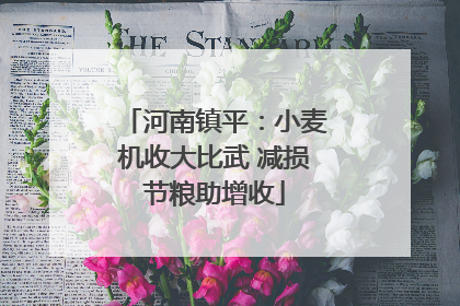 河南镇平：小麦机收大比武 减损节粮助增收