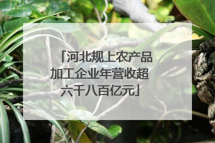 河北规上农产品加工企业年营收超六千八百亿元