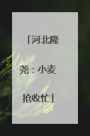 河北隆尧：小麦抢收忙