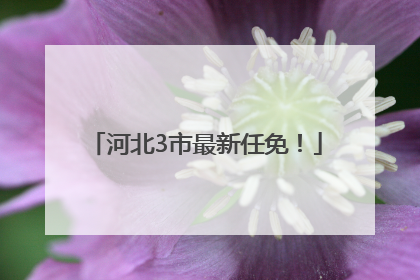 河北3市最新任免！