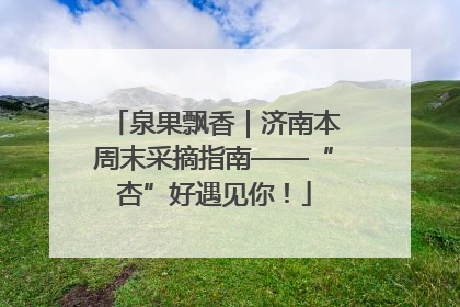 泉果飘香｜济南本周末采摘指南——“杏”好遇见你！