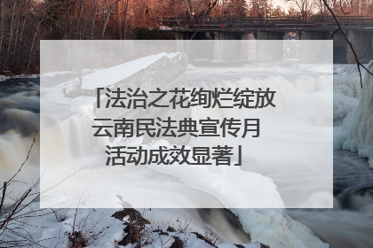 法治之花绚烂绽放 云南民法典宣传月活动成效显著