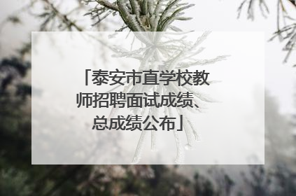 泰安市直学校教师招聘面试成绩、总成绩公布