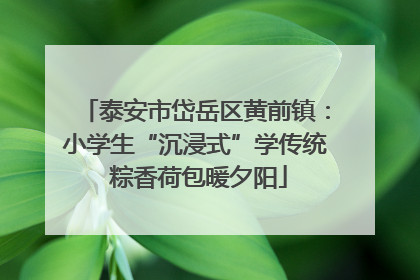 泰安市岱岳区黄前镇：小学生“沉浸式”学传统 粽香荷包暖夕阳