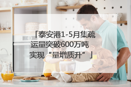 泰安港1-5月集疏运量突破600万吨 实现“量增质升”