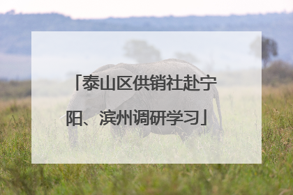 泰山区供销社赴宁阳、滨州调研学习