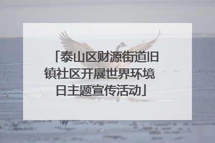 泰山区财源街道旧镇社区开展世界环境日主题宣传活动