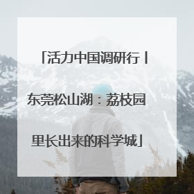 活力中国调研行丨东莞松山湖：荔枝园里长出来的科学城