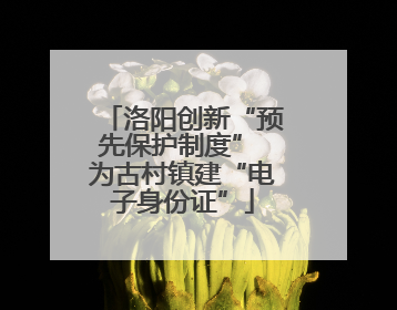 洛阳创新“预先保护制度” 为古村镇建“电子身份证”