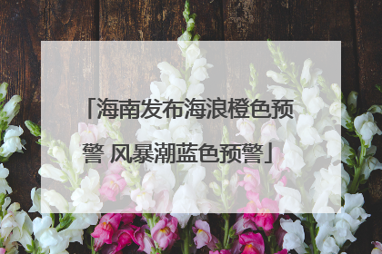 海南发布海浪橙色预警 风暴潮蓝色预警