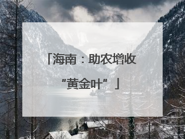 海南：助农增收 “黄金叶”
