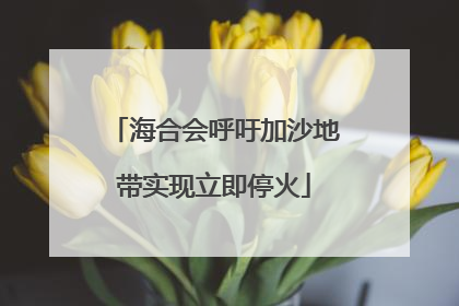 海合会呼吁加沙地带实现立即停火
