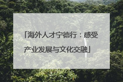 海外人才宁德行：感受产业发展与文化交融