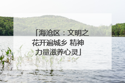 海沧区：文明之花开遍城乡 精神力量滋养心灵