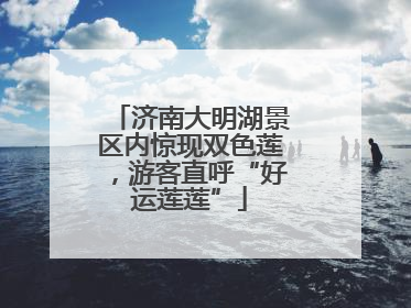济南大明湖景区内惊现双色莲，游客直呼“好运莲莲”