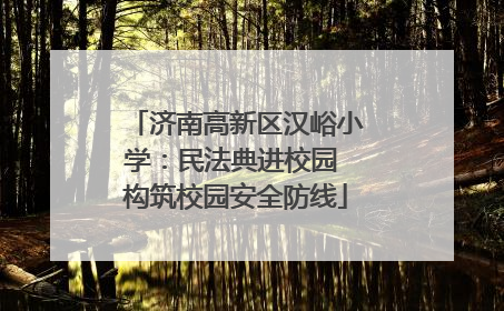 济南高新区汉峪小学：民法典进校园 构筑校园安全防线