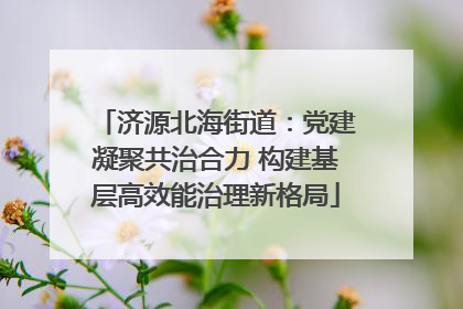 济源北海街道：党建凝聚共治合力 构建基层高效能治理新格局