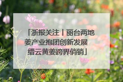 浙报关注丨丽台两地姜产业抱团创新发展 缙云黄姜跨界俏销