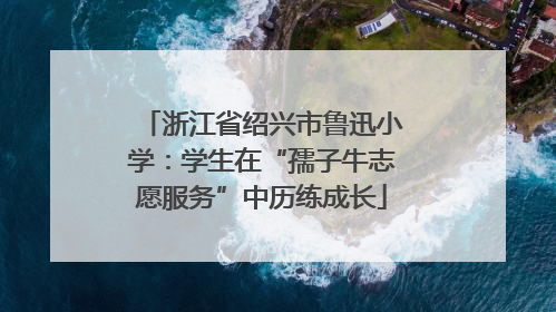 浙江省绍兴市鲁迅小学：学生在“孺子牛志愿服务”中历练成长