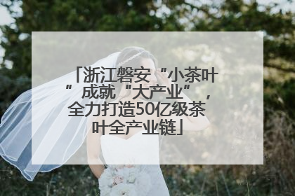 浙江磐安“小茶叶”成就“大产业”，全力打造50亿级茶叶全产业链
