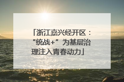 浙江嘉兴经开区：“统战+”为基层治理注入青春动力