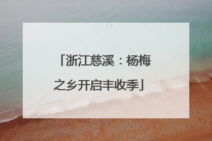 浙江慈溪：杨梅之乡开启丰收季