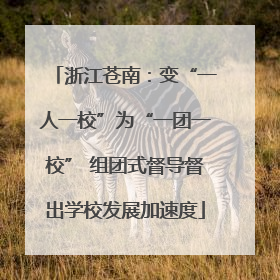 浙江苍南：变“一人一校”为“一团一校” 组团式督导督出学校发展加速度