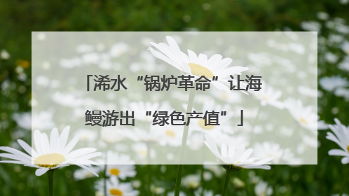 浠水“锅炉革命”让海鳗游出“绿色产值”